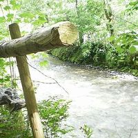 Jean-Daniel Boudreau的照片