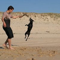 Guillaume Larroche's Photo