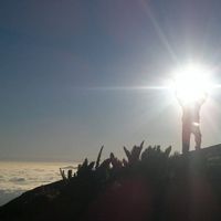 Francis Pereira的照片