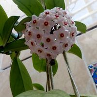 Fotos de Amir Yazdanfar