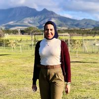 Le foto di Sara Mahdy