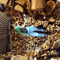 Fotos de quentin lui