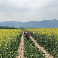 Le foto di Zohreh Ami