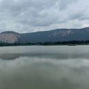 Couchsurfing & Cultural Exchange in Indian Village's picture