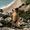 Esther Diaz's Photo