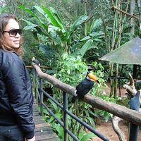 Tatiana Viana's Photo