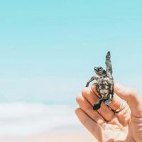 Fotos de Yulia Diatschenko