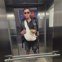 Dimitri MECHAI's Photo