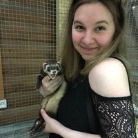 Karina Dashkina's Photo