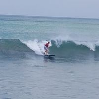 Karl WILLIAMS's Photo