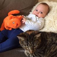 Albert Jan Zielman's Photo