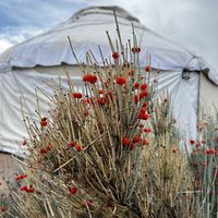 Markie Markie的照片