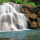 2days Excursion to Kanchanaburi Nat. Park from BKK's picture