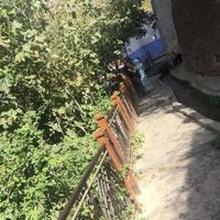 kawtar  koki的照片