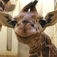 Fernanda Bagordakis's Photo