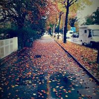 Fotos von Djafer  Yacine