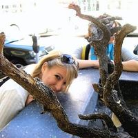 Julie Lockwood的照片