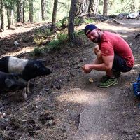 Luca Zanoni的照片