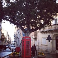 Ayşegül Aslan's Photo