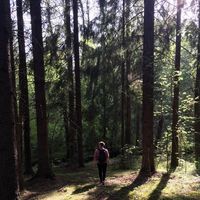 Artem Caravan的照片