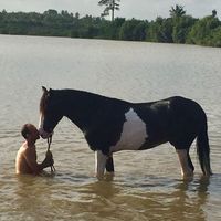 Fotos von Abbas Tabaja