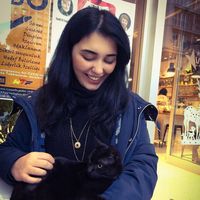 sonnur gulen的照片