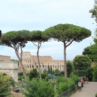 Fotos de Matej Ivkošić