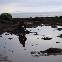 Alejandro Amsel's Photo