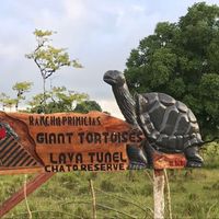 Julio Alvarado's Photo