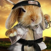 Fotos de Tomasz Różalski