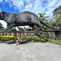 Mohamed Shahid's Photo