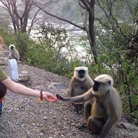 Maria Gavrilova's Photo