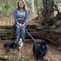 Melody Bandel's Photo