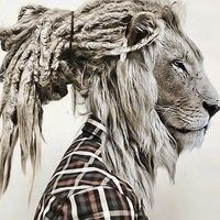 Kseniia Matveenko's Photo