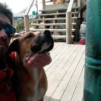 mario oyarzun的照片