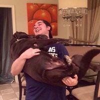 Francisco De La Miyar's Photo