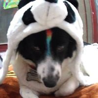 Mon Negrete的照片