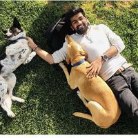 Photos de Ahmed Zarrar