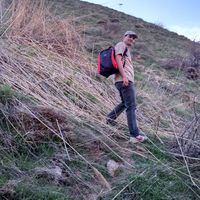 Hamed Meidany's Photo