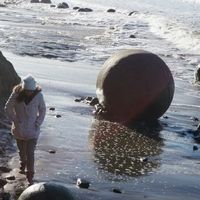 Kell Cattell的照片