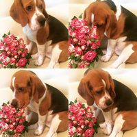 Anna Kadysheva's Photo