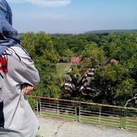 Nurul Syafiqa的照片