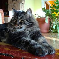 Philippe De Carufel's Photo