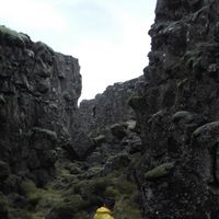 Le foto di Joshua Holli