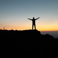 Dominik Hold's Photo