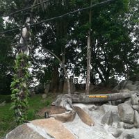 Denis Maksimcev's Photo