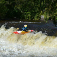 Becky Fenelon's Photo