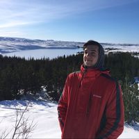 Manu Nardelli's Photo