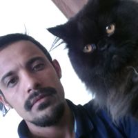 amir arabpour's Photo