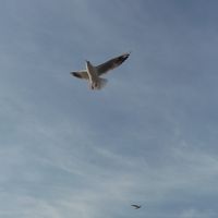 youri Bartolozzi's Photo